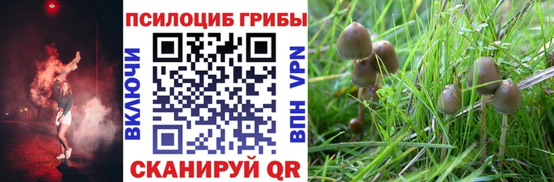 Галлюциногенные грибы Cubensis  Янаул 